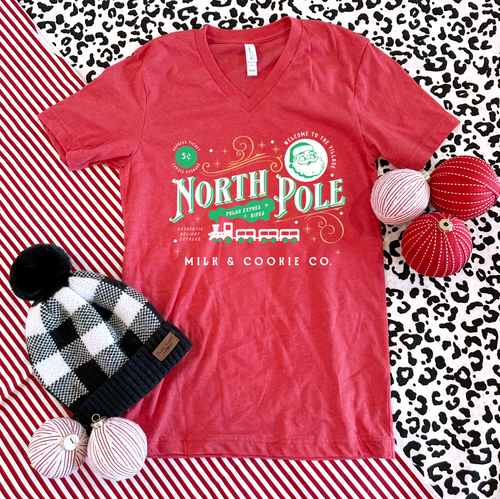 Vintage North Pole